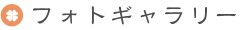 フォトギャラリー
